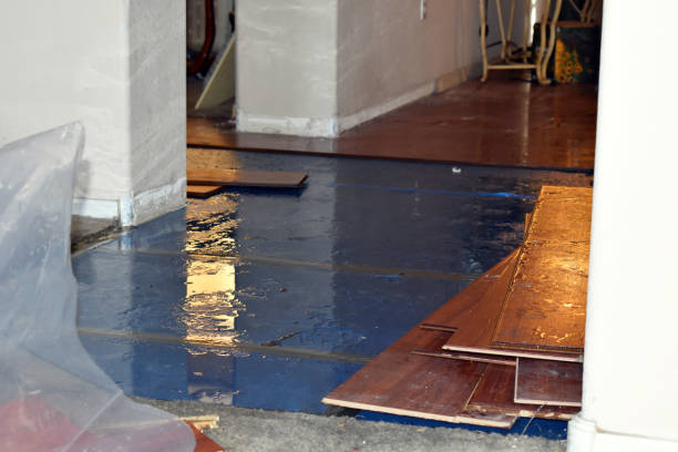 Professional Flood Cleanup technician working in Holland, MA